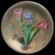 Opuntia ficus-indica Assiette XIX D 23 cm