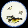 Majolica dinner table golden bream, sparrow and butterfly