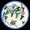 Majolica dessert plate bindweed, butterfly and grasshopper