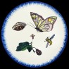 Majolica soup plate butterfly, shell and eggplant flower