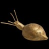 Small gilt snail