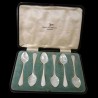 Pearly spoon - box set of 6 pieces