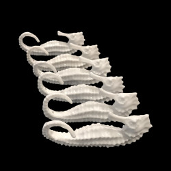 6 seahorse knife-rests in porcelaine