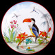 Tin plate "The Birds" Buffon Toucan