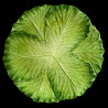 Majolica green cabbage dinner plate