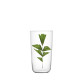 Set de 8 verres droit ornés de feuilles, cristal collection n°4