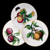 Fruits Dinner Plate Creil & Montereau 19th century