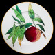 Assiette à dessert Fruits Creil & Montereau XIXe siècle