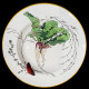 Assiette creuse Légumes Creil & Montereau XIXe siècle