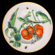 Vegetables Soup Plate Creil & Montereau 19th century