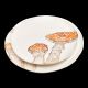 Dinner plate parasol mushroom